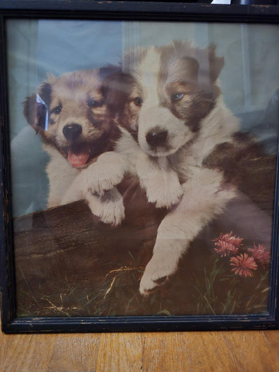 1950's Vintage Poster of two Collie Lassie Puppies-In a Wood frame with Glass