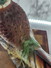 1960's Vintage Pair of Bisque Ring-Necked Pheasant Statues labeled INAROCO made in Japan