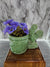 1950's Vintage Ceramic Green Rooster with Water Bucket Planter