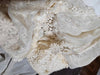 1960's Vintage off white Daisy laced Wedding dress with train